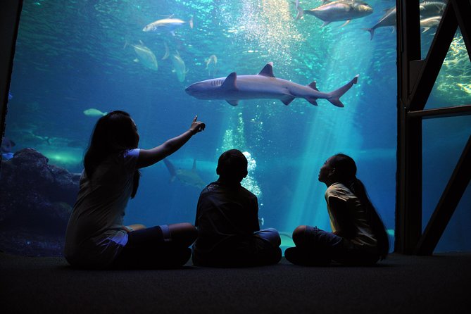 Maui Ocean Center All Day Admission Ticket - Key points to know before you go