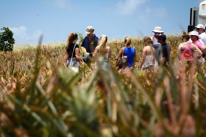 Maui Pineapple Farm Tour in Haliimaile - Starting at the Maui Pineapple Store in Haliimaile