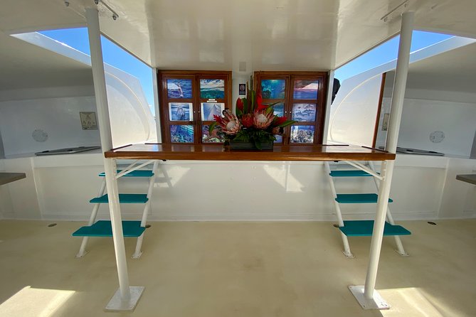 Maui Premium Sunset Dinner Cruise from Ka’anapali Beach - What boarding and disembarking are really like