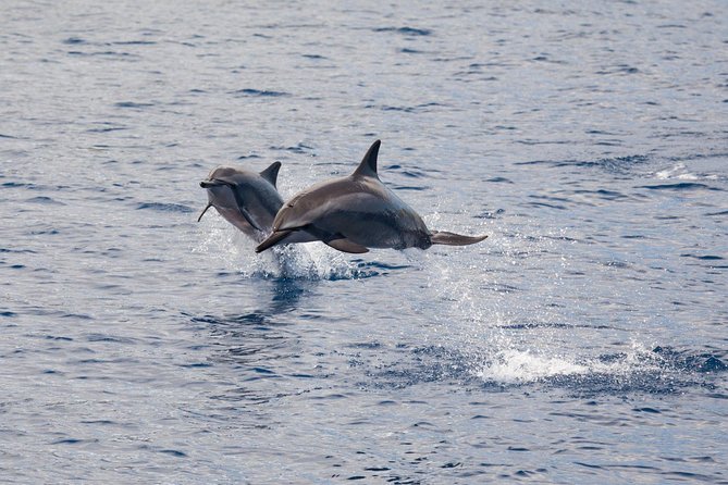 Maui Premium Sunset Dinner Cruise & Whale Watch - Sunset views toward Lana‘i and Moloka‘i