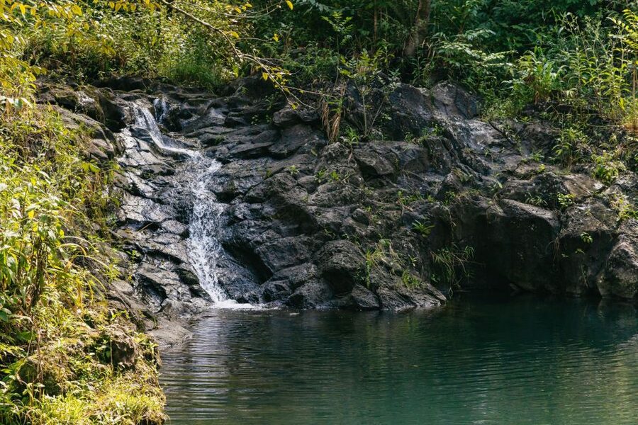 Maui: Rainforest Waterfalls Guided Hike with Picnic Lunch - Who will enjoy this most?