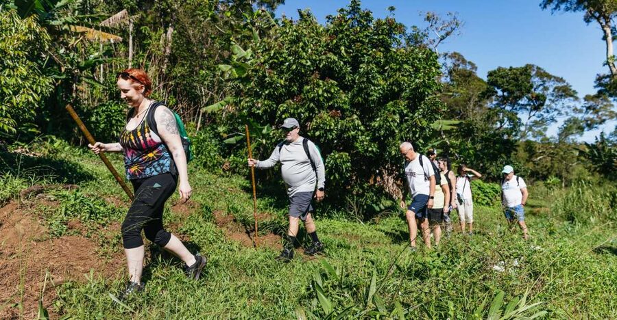 Maui: Rainforest Waterfalls Guided Hike with Picnic Lunch - Starting near Kahului and heading into East Maui