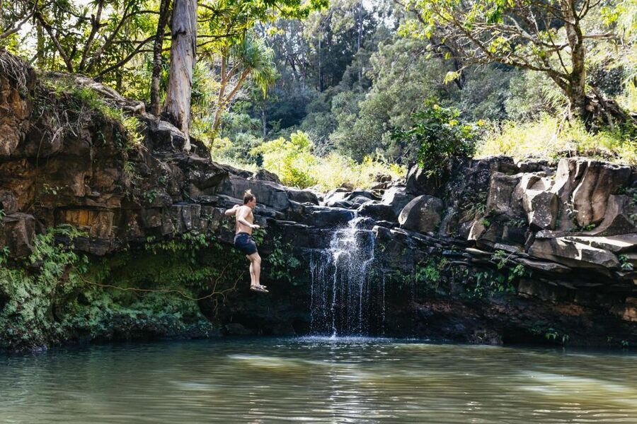 Maui: Rainforest Waterfalls Guided Hike with Picnic Lunch - Swimming beneath the falls