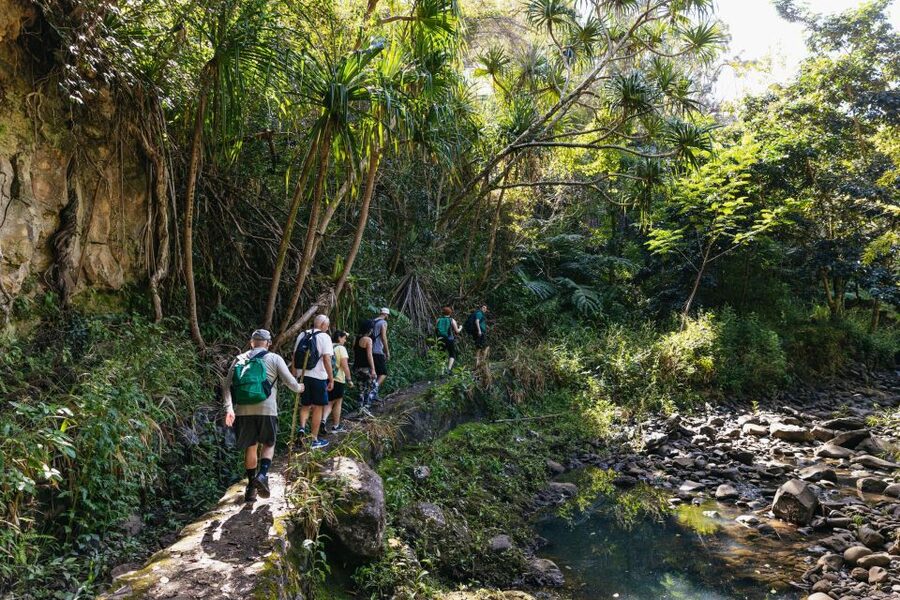 Maui: Rainforest Waterfalls Guided Hike with Picnic Lunch - A picnic lunch beside the water