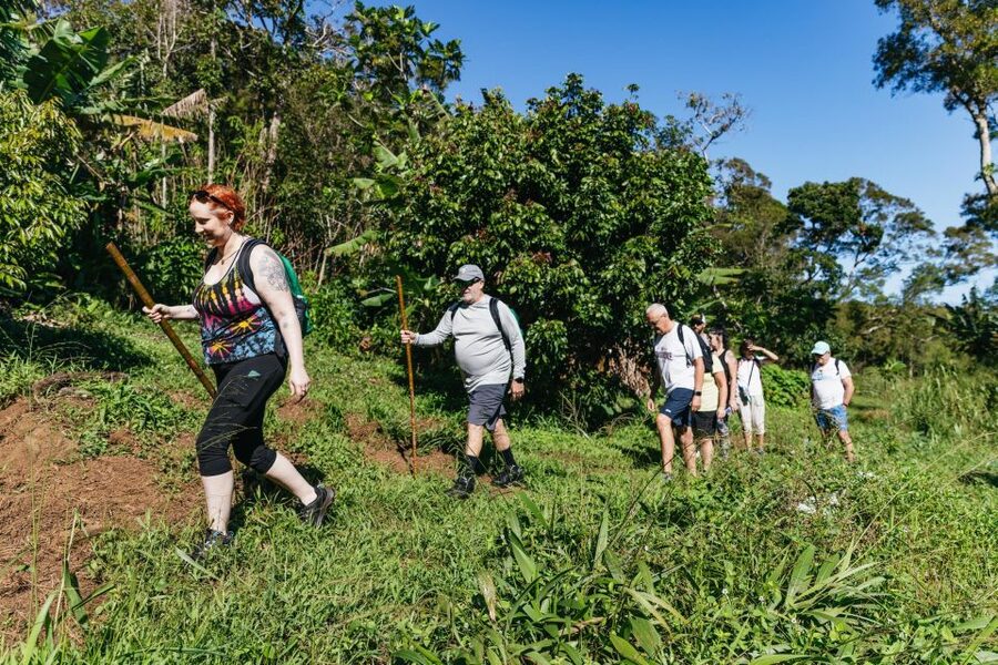 Maui: Rainforest Waterfalls Guided Hike with Picnic Lunch - Plants, fruit, and Hawaiian culture along the trail