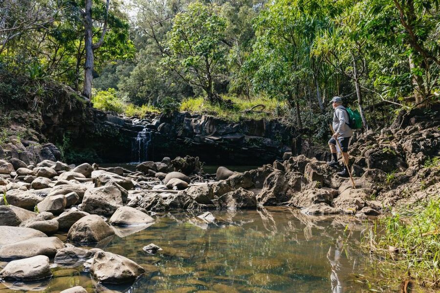Maui: Rainforest Waterfalls Guided Hike with Picnic Lunch - How difficult is the hike?