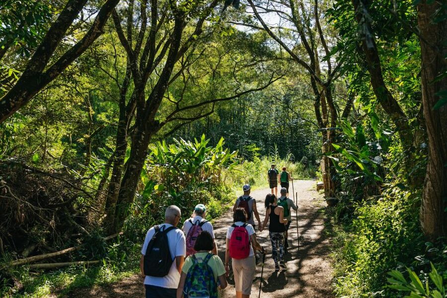 Maui: Rainforest Waterfalls Guided Hike with Picnic Lunch - Weather, safety, and changing trail conditions