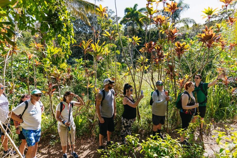 Maui: Rainforest Waterfalls Guided Hike with Picnic Lunch - What the $187 price includes