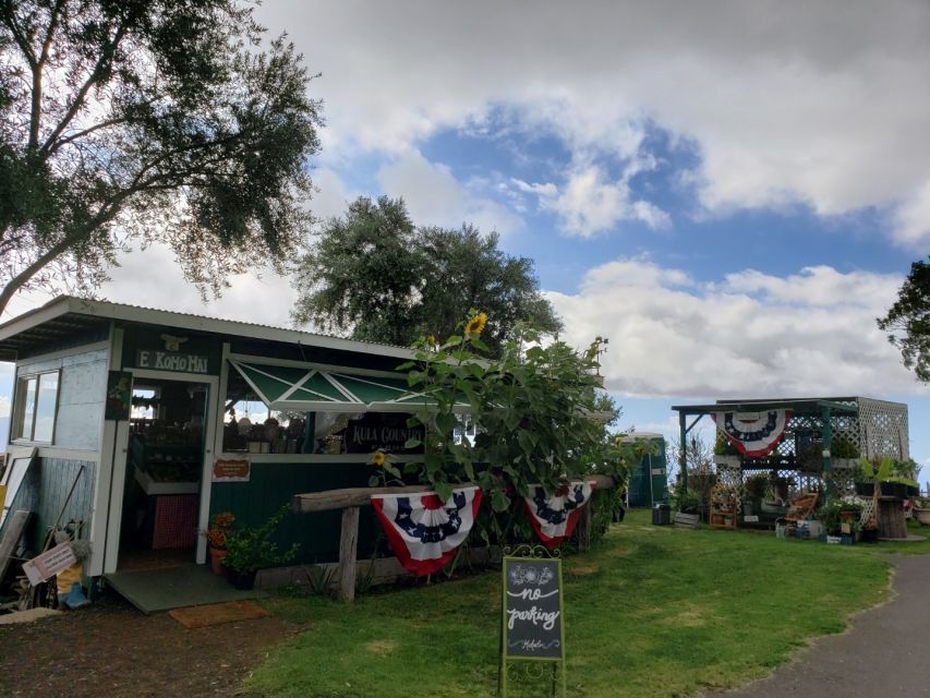 Maui: Road to Hana Adventure with Breakfast & Lunch - Key points to know before booking