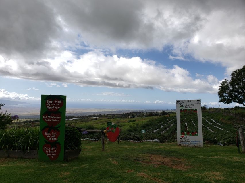Maui: Road to Hana Adventure with Breakfast & Lunch - Keanae adds local character to the route