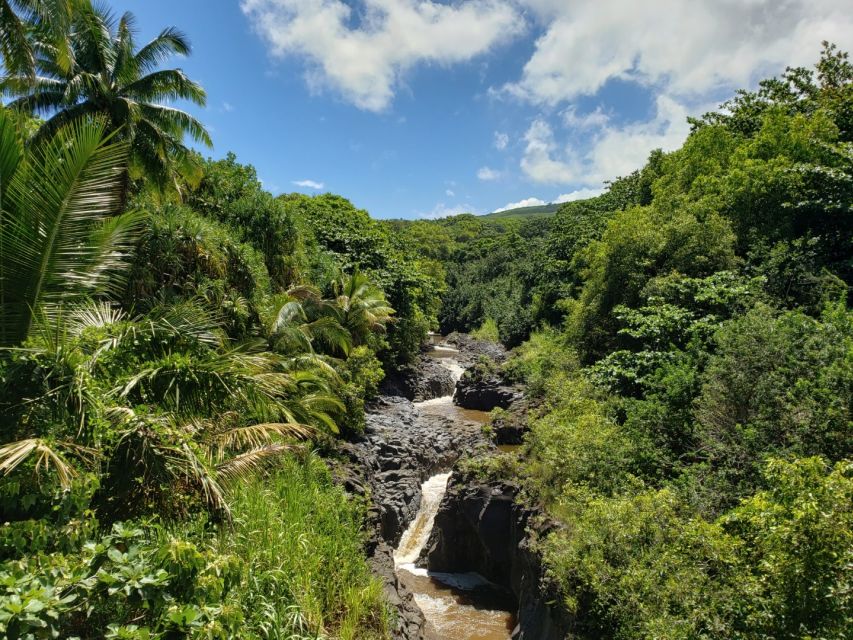 Maui: Road to Hana Adventure with Breakfast & Lunch - Lookouts, eucalyptus trees, and optional stops