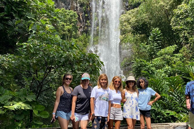 Maui: Road to Hana Adventure with Farm to Table Lunch - Waterfall walls, eucalyptus, and bamboo from the van