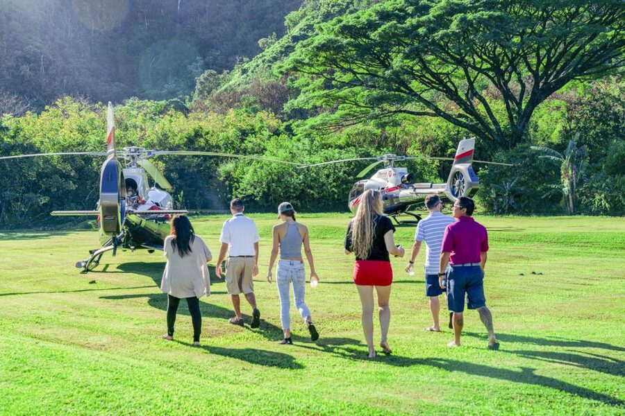 Maui: Road to Hana Helicopter & Waterfall Tour with Landing - Key points at a glance