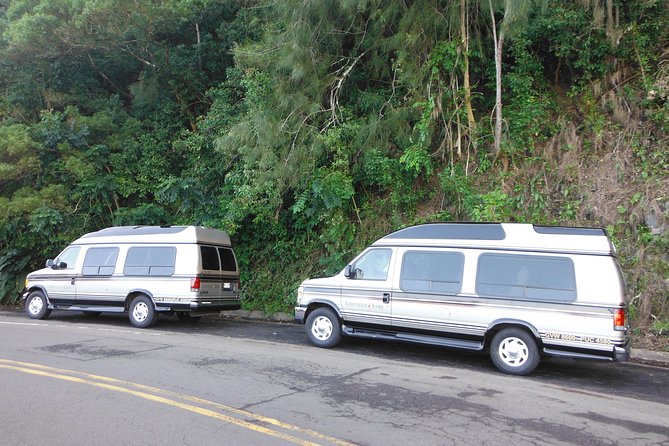 Maui: Road to Hana Luxury Limo-Van Tour with Helicopter Flight - Wai‘anapanapa’s black sand coast