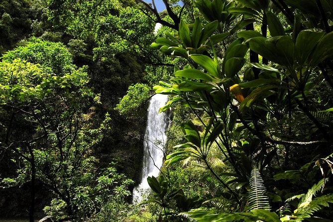 Maui: Road to Hana Luxury Limo-Van Tour with Helicopter Flight - Hana, waterfalls, and swim time