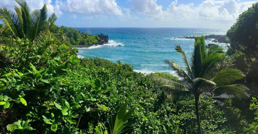 Maui: Road to Hana Sightseeing Tour - Kaumahina and Keanae reveal two sides of Maui