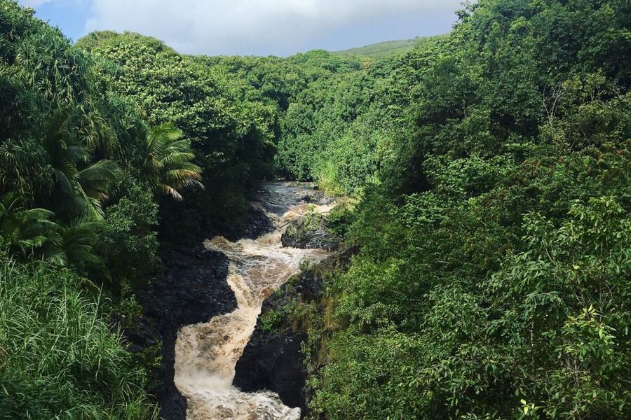 Maui: Road to Hana Sightseeing Tour - Waianapanapa’s black sand is the visual high point