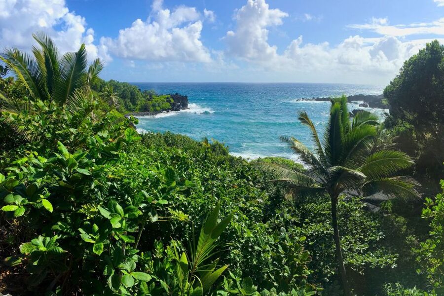 Maui: Road to Hana Sightseeing Tour - What the guide adds to the day