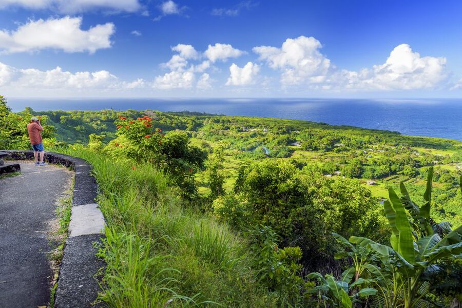 Maui: Small-Group Road to Hāna Sightseeing Tour - Why the Road to Hāna works better with a driver