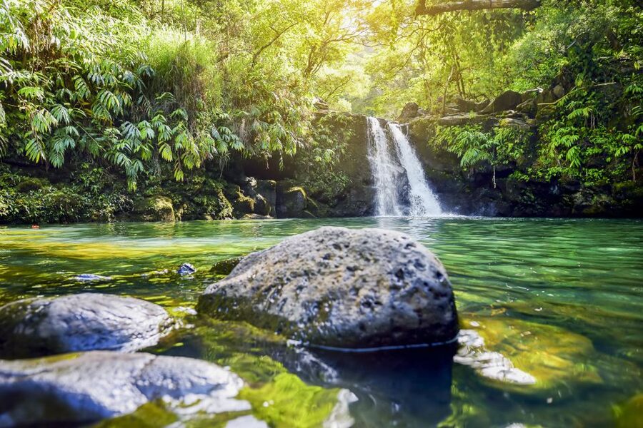 Maui: Small-Group Road to Hāna Sightseeing Tour - Waiʻānapanapa State Park and black sand
