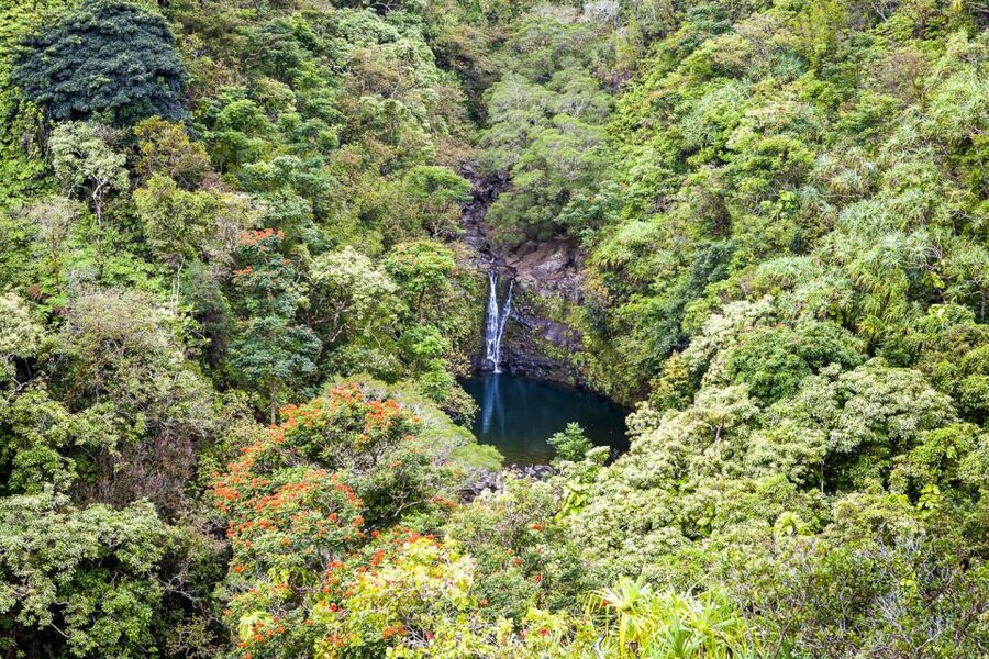 Maui: Small-Group Road to Hāna Sightseeing Tour - Lunch with an ocean view