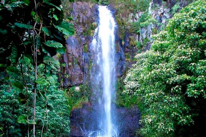Maui: Small Group Road to Hāna Tour 6 to 8 passengers - Pua‘a Ka‘a and Hanawi Falls add water to the day