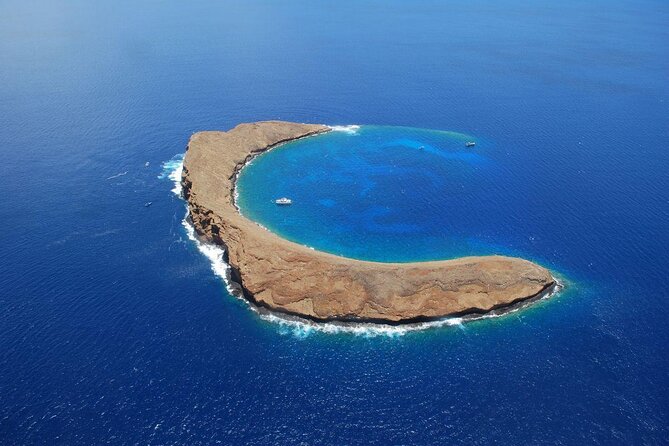 Maui Snorkeling Adventure From Ma'alaea Harbor to Molokini - Key points about the Calypso Molokini cruise
