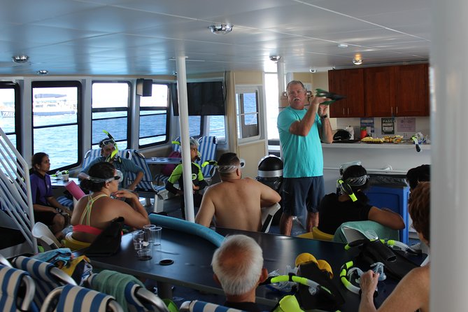 Maui Snorkeling Adventure From Ma'alaea Harbor to Molokini - Turtle Town and the responsibility of seeing wildlife