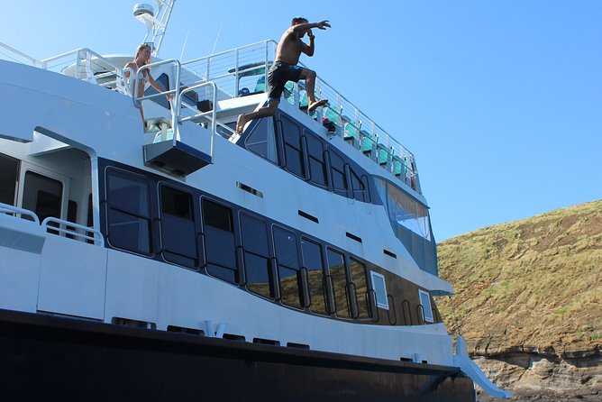 Maui Snorkeling Adventure From Ma'alaea Harbor to Molokini - Price, parking, and what to bring