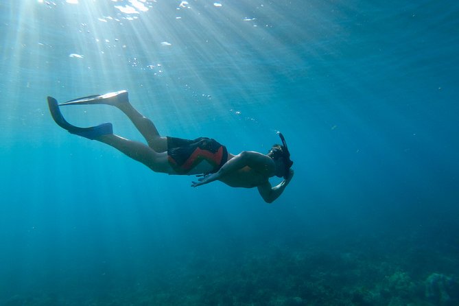 Maui Snorkeling Boat Tour to Turtle Town Aboard Quicksilver - Turtle Town or Coral Gardens