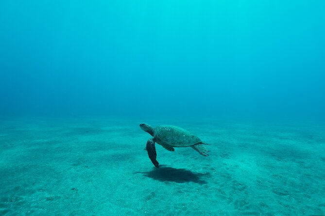 Maui Snorkeling Boat Tour to Turtle Town Aboard Quicksilver - A Boat That Works Well for Families