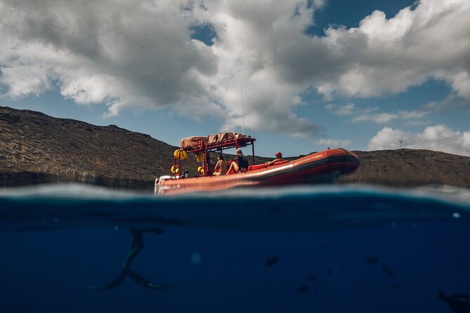 Maui South Coast and Molokini Crater Adventure from Kihei - First water stop: clear reefs inside Molokini Crater