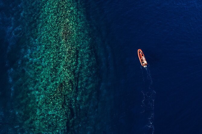 Maui South Coast and Molokini Crater Adventure from Kihei - What $232.50 buys you