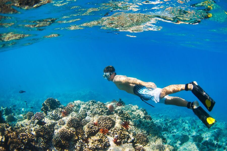 Maui: Turtle Town Kayak and Snorkel Tour - Key points at a glance