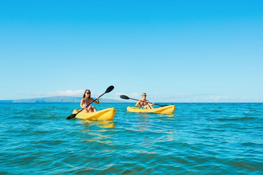 Maui: Turtle Town Kayak and Snorkel Tour - Why Turtle Town works so well for a half-day outing