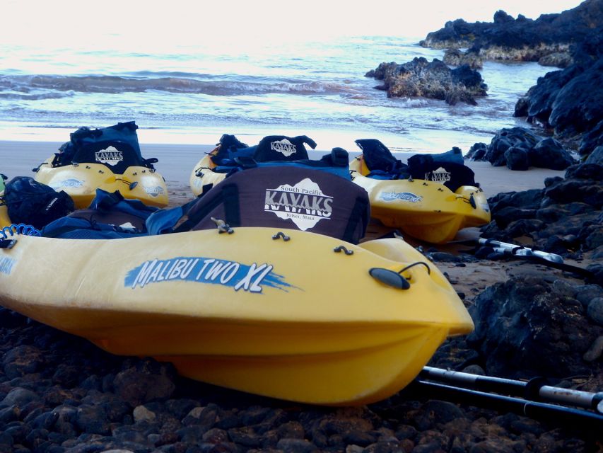 Maui: Turtle Town Kayak and Snorkel Tour - Who should book this tour