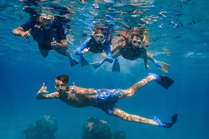 Maui: Turtle Town Snorkel with Photo and Video - What guides Joe, Robbie, and Alex add