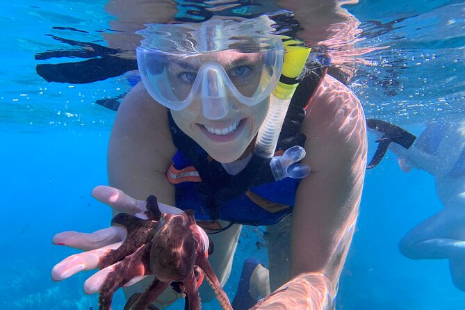 Maui: Turtle Town Snorkel with Photo and Video - The value of $129 per person