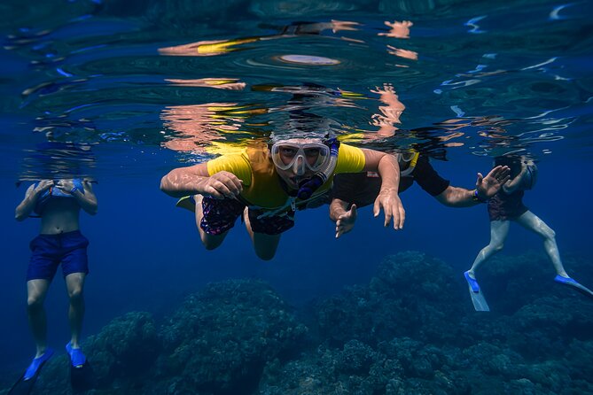 Maui: Turtle Town Snorkel with Photo and Video - Weather, location changes, and timing concerns