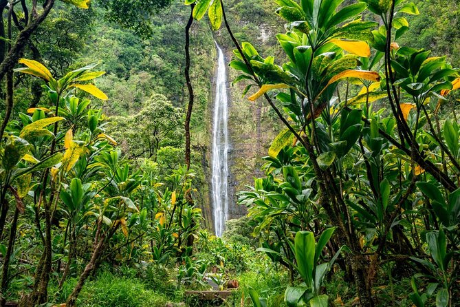 Maui: VIP Private Road to Hana Tour with Pick Up - Pua‘a Ka‘a and the waterfall rhythm