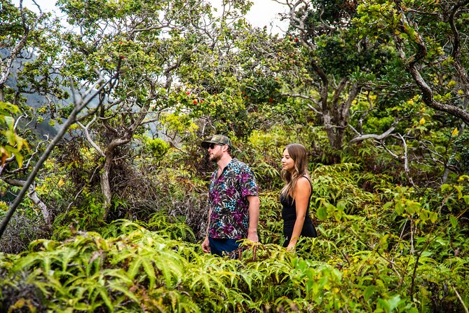 Maui: VIP Private Road to Hana Tour with Pick Up - Ho‘okipa and the ride home