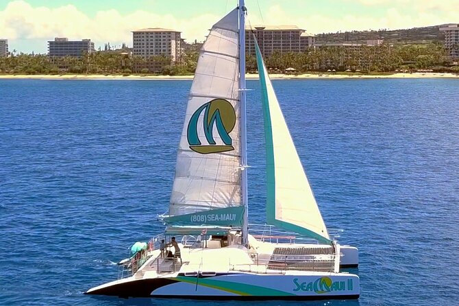 Maui: Whale Watching Cruise with Open Bar from Ka'anapali Beach - The catamaran setup and where I would sit