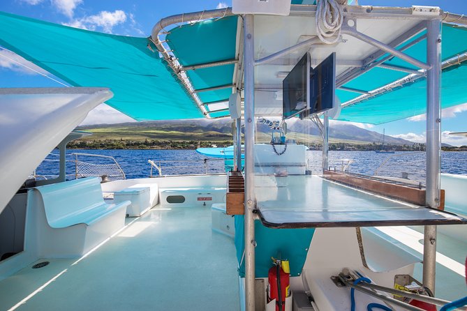 Maui: Whale Watching Cruise with Open Bar from Ka'anapali Beach - The open bar, snacks, and overall atmosphere