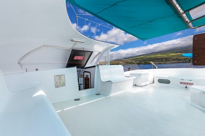Maui: Whale Watching Cruise with Open Bar from Ka'anapali Beach - Who should book this Kaanapali cruise?