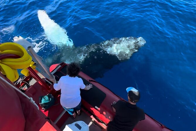 Maui Whale-Watching Tour by Raft from Kihei - A fast start from the Kihei Boat Ramp