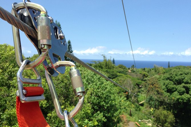 Maui Zipline Eco Adventure: 8 Lines through the Jungle - Check-in and getting fitted at Jungle Zipline Maui
