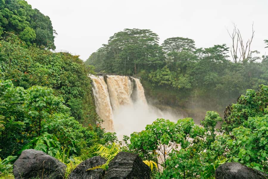 Mauna Kea: Stellar Explorer Tour from Hilo - Key points to know before booking