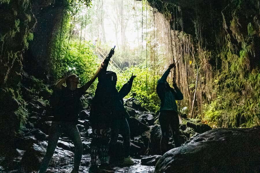 Mauna Kea: Stellar Explorer Tour from Hilo - Why this Hilo tour works as an introduction to the island