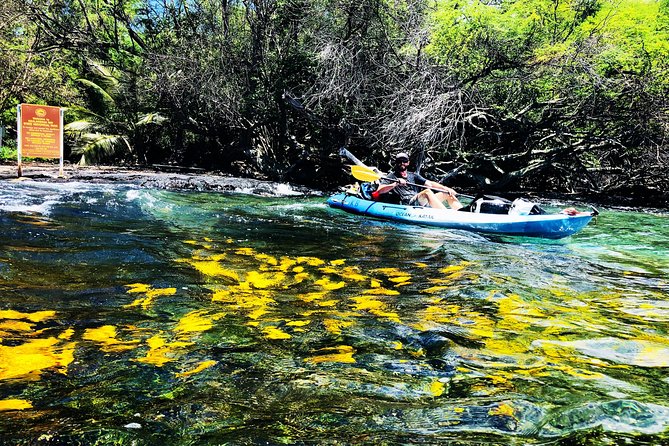 Midday Meander - Kealakekua Bay Kayak and Snorkel Adventure - Snorkeling beside Kaʻawaloa’s steep coral coast