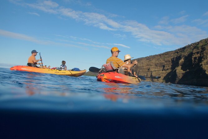 Midday Meander - Kealakekua Bay Kayak and Snorkel Adventure - Who will get the most from this outing